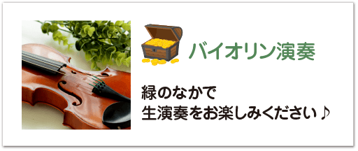 バイオリン演奏